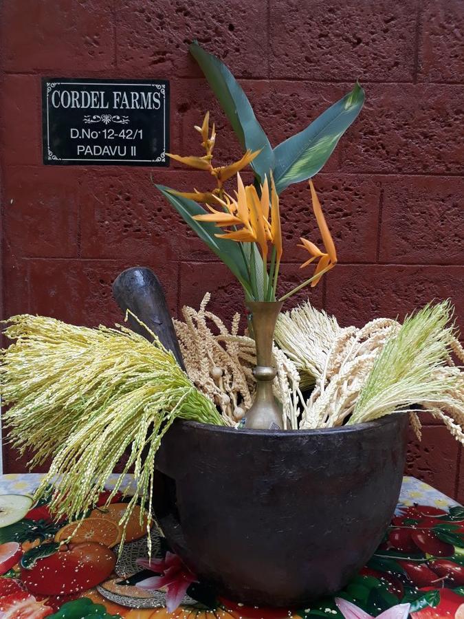 Cordel Farms Mangalore Esterno foto