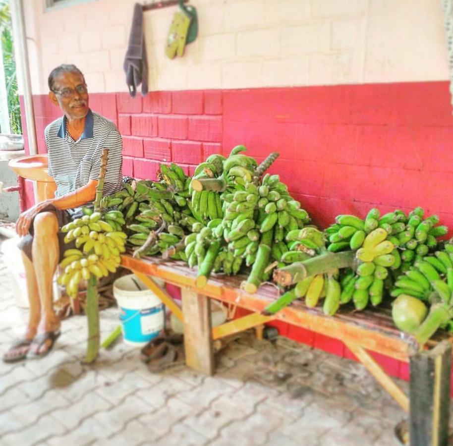 Cordel Farms Mangalore Esterno foto